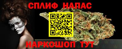 гашик Шебекино
