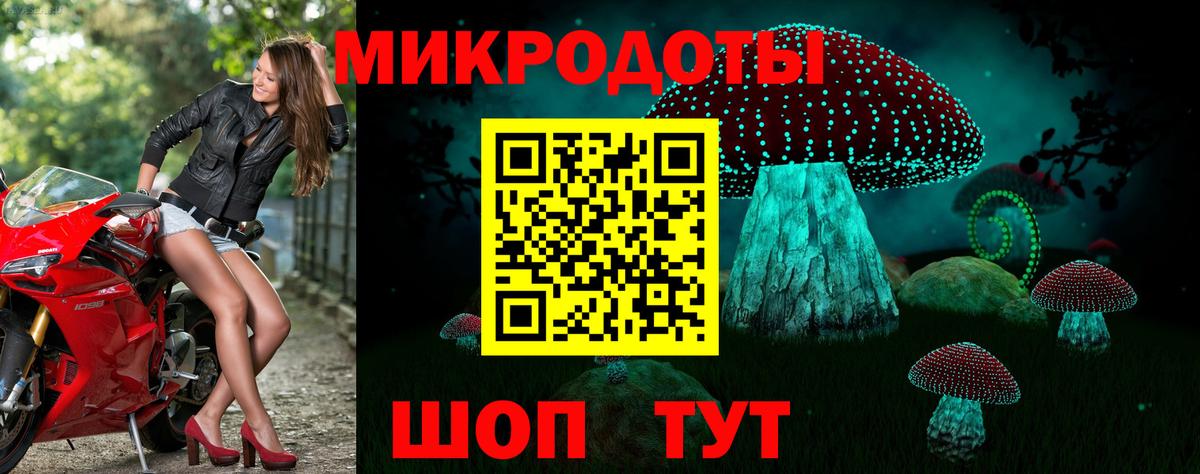 Кинель  Псилоцибиновые грибы Cubensis  Вход с VPN 